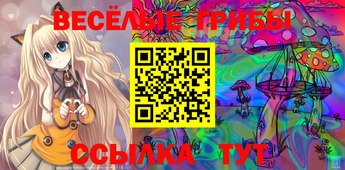 Галлюциногенные грибы Psilocybe  Вход с VPN  Королёв 