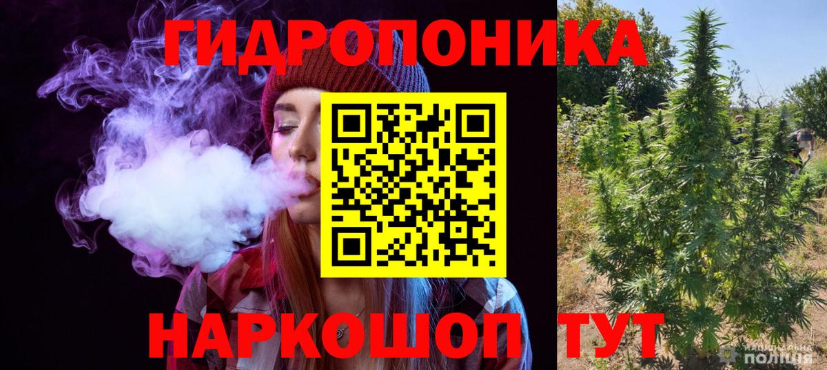 Конопля SATIVA & INDICA  МАРИХУАНА семена  Вход с VPN  Бошки Шишки марихуана  Королёв  Каннабис Ganja 